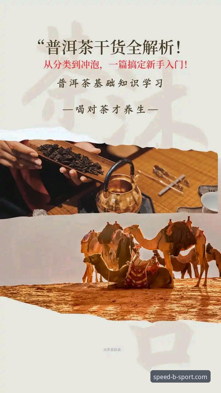 BSPORT竞猜平台使用指南 从新手到熟手:BSPORT竞猜平台使用指南,资深用户陈浩的实战经验分享